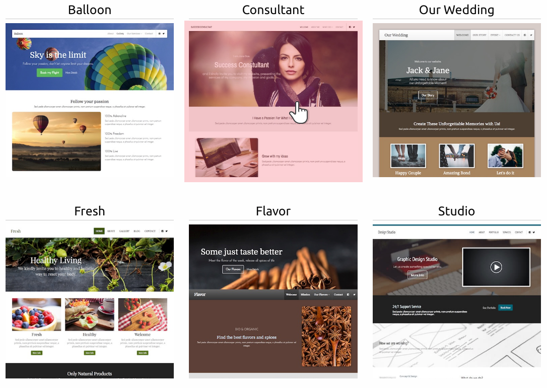 New Site Builder a variety of themes