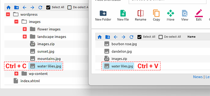 File Manager Shortcut Keys Copy Past Files Different Windows